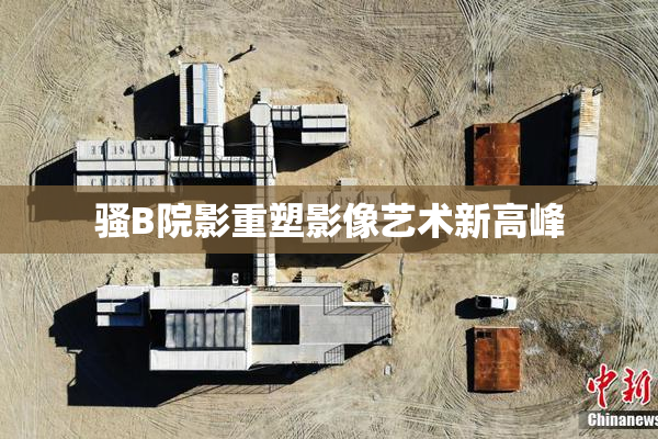 骚B院影重塑影像艺术新高峰