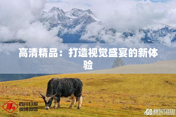 高清精品：打造视觉盛宴的新体验