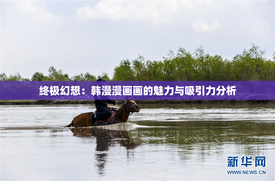 终极幻想：韩漫漫画画的魅力与吸引力分析