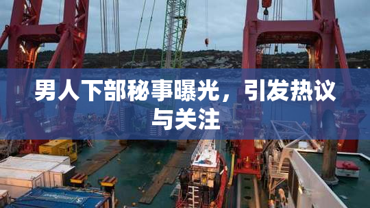 男人下部秘事曝光，引发热议与关注