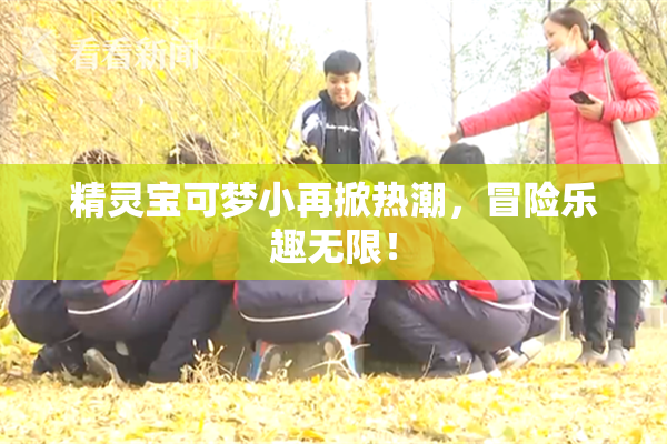 精灵宝可梦小再掀热潮，冒险乐趣无限！