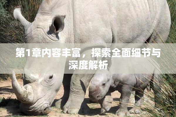 第1章内容丰富，探索全面细节与深度解析
