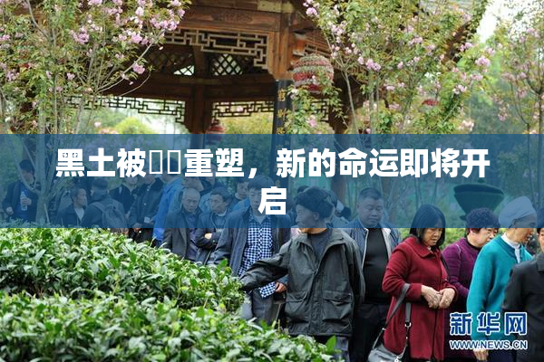 黑土被❌‌重塑，新的命运即将开启