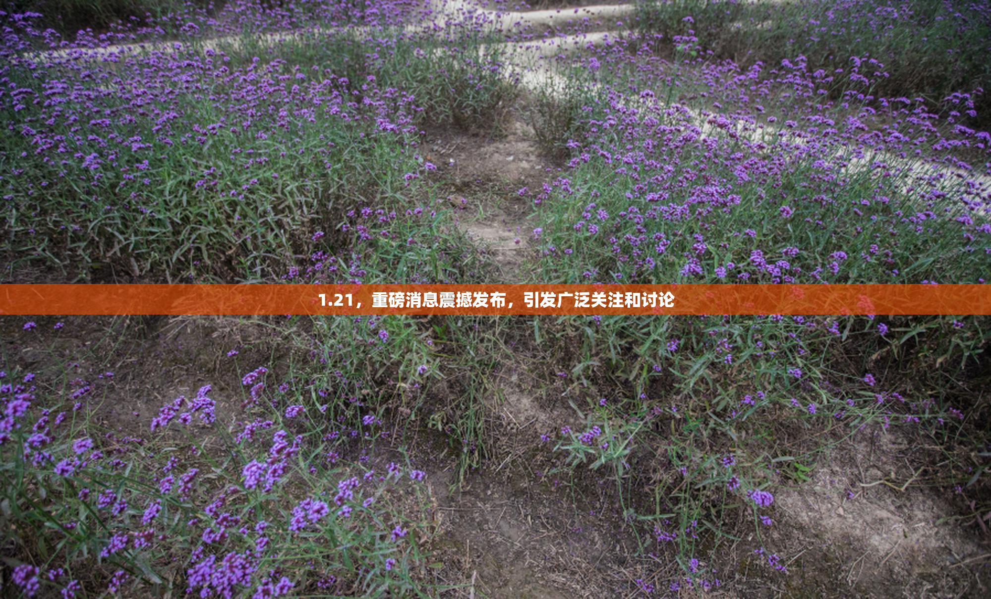 1.21，重磅消息震撼发布，引发广泛关注和讨论