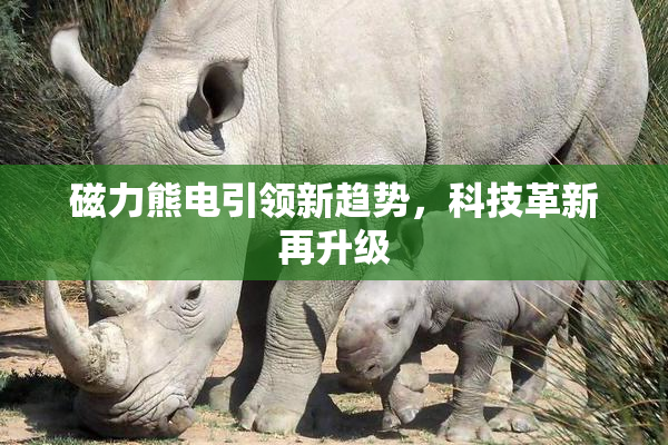 磁力熊电引领新趋势，科技革新再升级