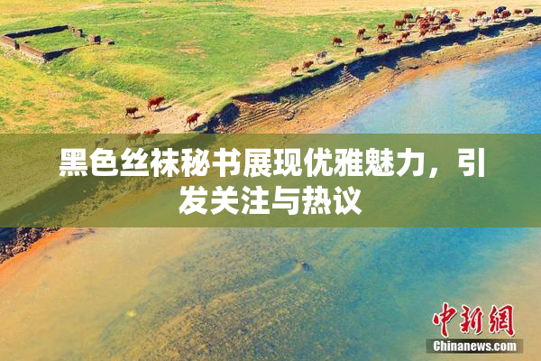 黑色丝袜秘书展现优雅魅力，引发关注与热议