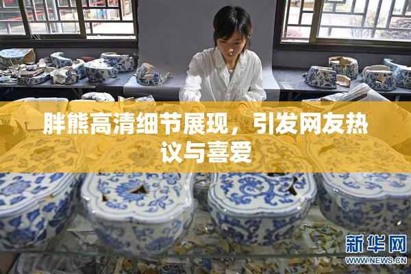 胖熊高清细节展现，引发网友热议与喜爱