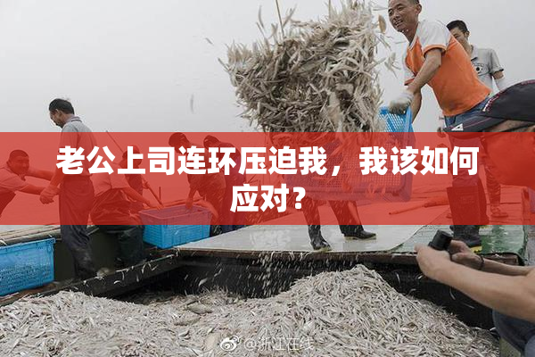 老公上司连环压迫我，我该如何应对？