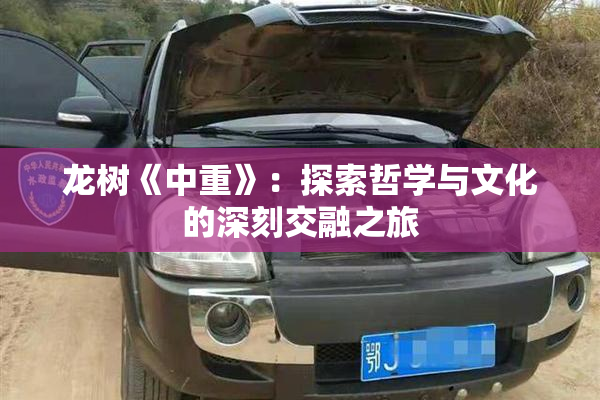 龙树《中重》：探索哲学与文化的深刻交融之旅