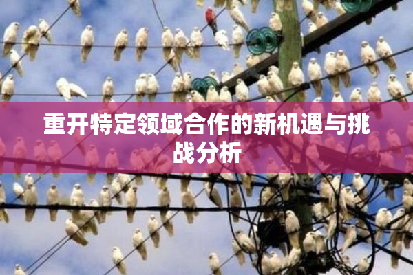 重开特定领域合作的新机遇与挑战分析