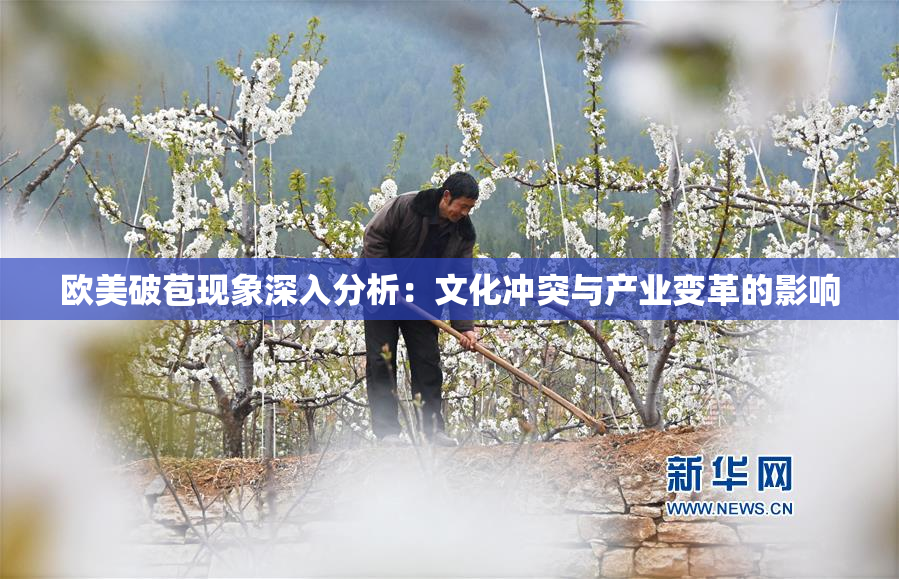 欧美破苞现象深入分析：文化冲突与产业变革的影响