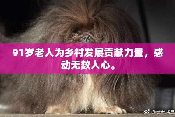 91岁老人为乡村发展贡献力量，感动无数人心。