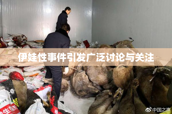 伊娃性事件引发广泛讨论与关注