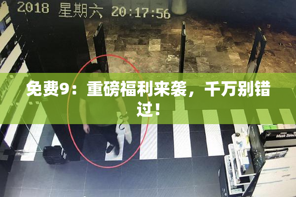 免费9：重磅福利来袭，千万别错过！