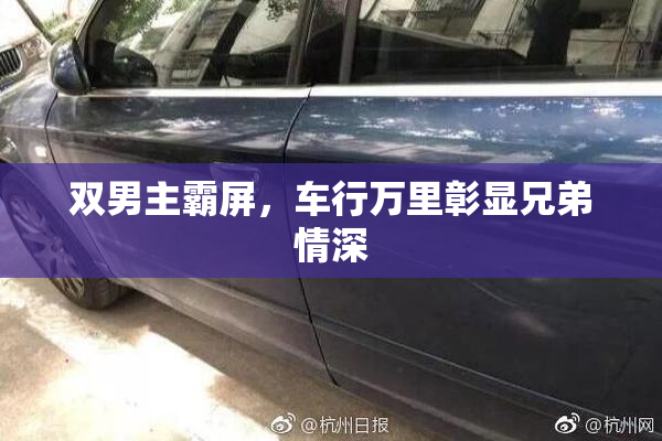 双男主霸屏，车行万里彰显兄弟情深
