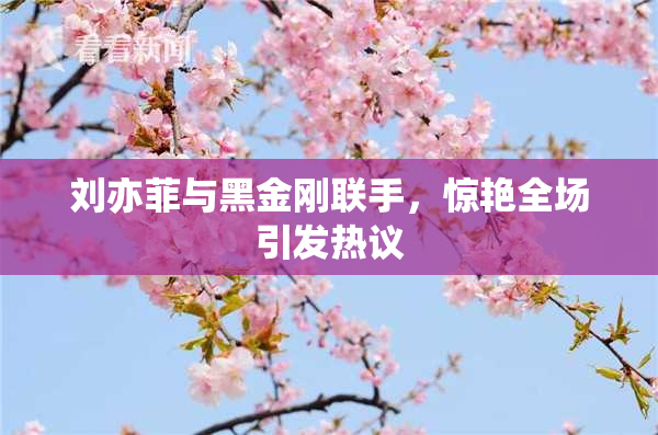 刘亦菲与黑金刚联手，惊艳全场引发热议