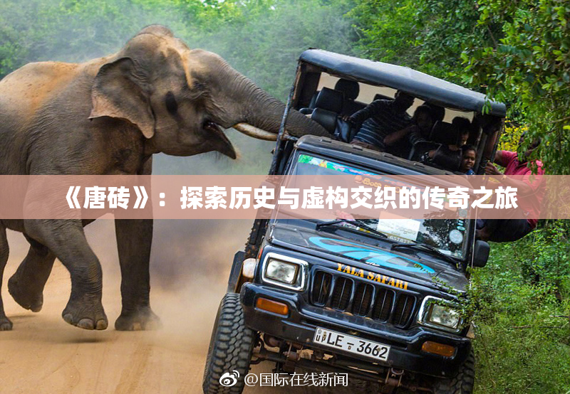 《唐砖》：探索历史与虚构交织的传奇之旅