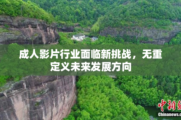 成人影片行业面临新挑战，无重定义未来发展方向