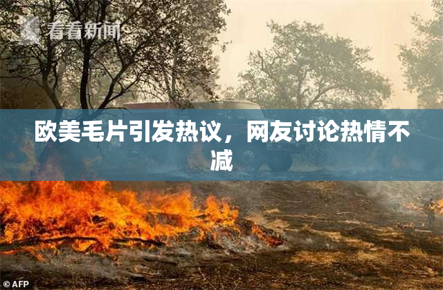 欧美毛片引发热议，网友讨论热情不减