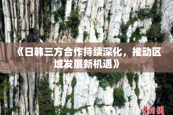 《日韩三方合作持续深化，推动区域发展新机遇》