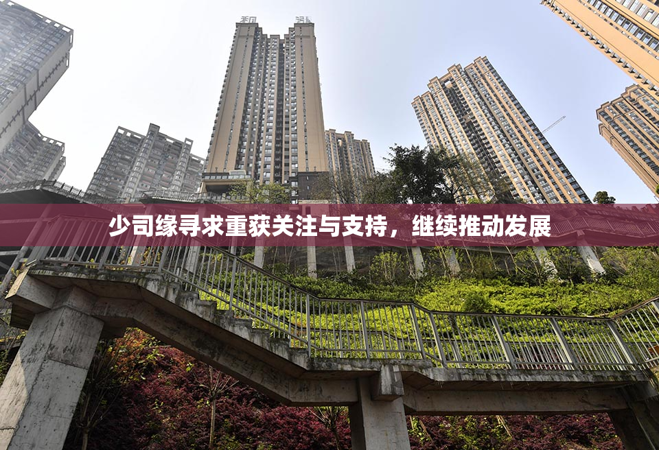 少司缘寻求重获关注与支持，继续推动发展