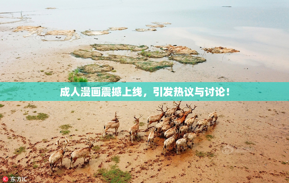 成人漫画震撼上线，引发热议与讨论！
