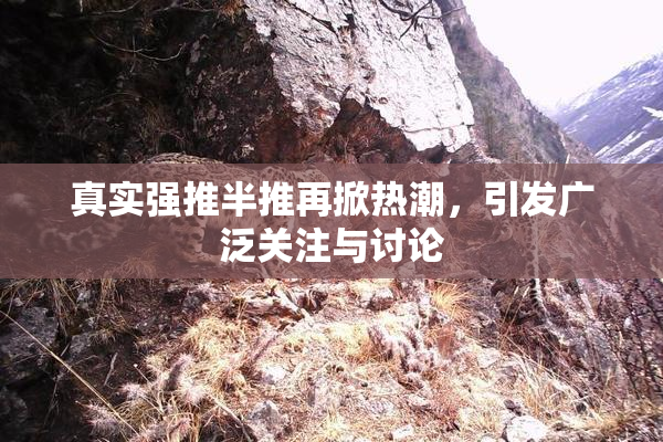 真实强推半推再掀热潮，引发广泛关注与讨论