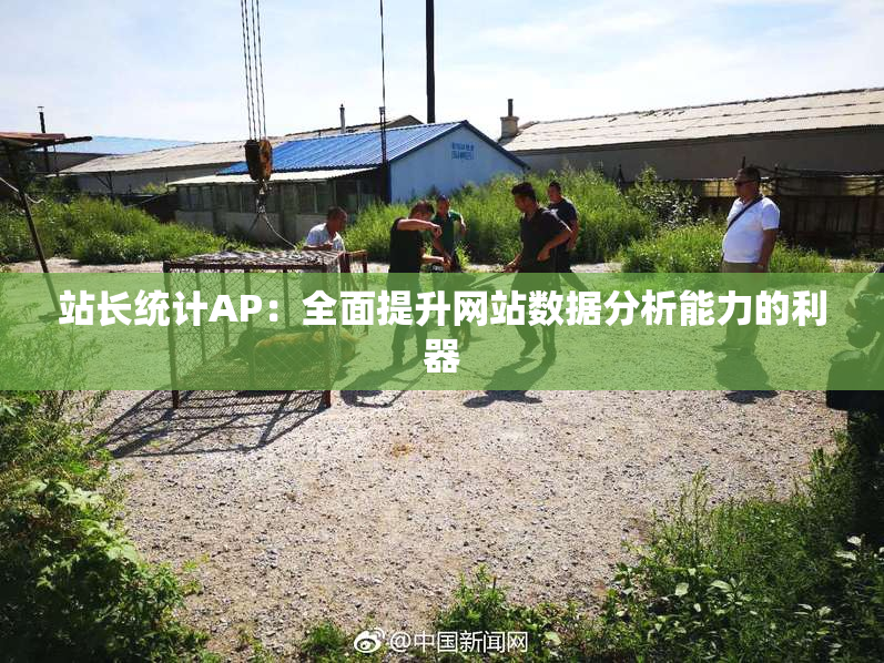 站长统计AP：全面提升网站数据分析能力的利器