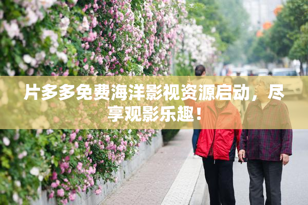 片多多免费海洋影视资源启动，尽享观影乐趣！