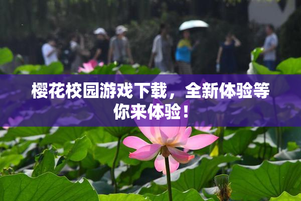 樱花校园游戏下载，全新体验等你来体验！