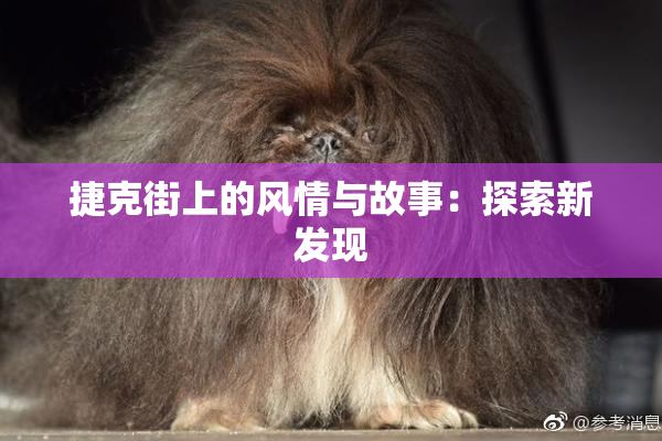 捷克街上的风情与故事：探索新发现