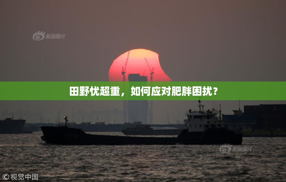 田野忧超重，如何应对肥胖困扰？