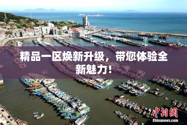 精品一区焕新升级，带您体验全新魅力！