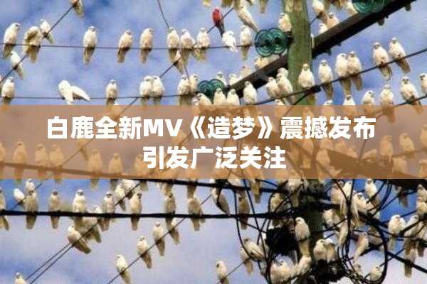 白鹿全新MV《造梦》震撼发布 引发广泛关注
