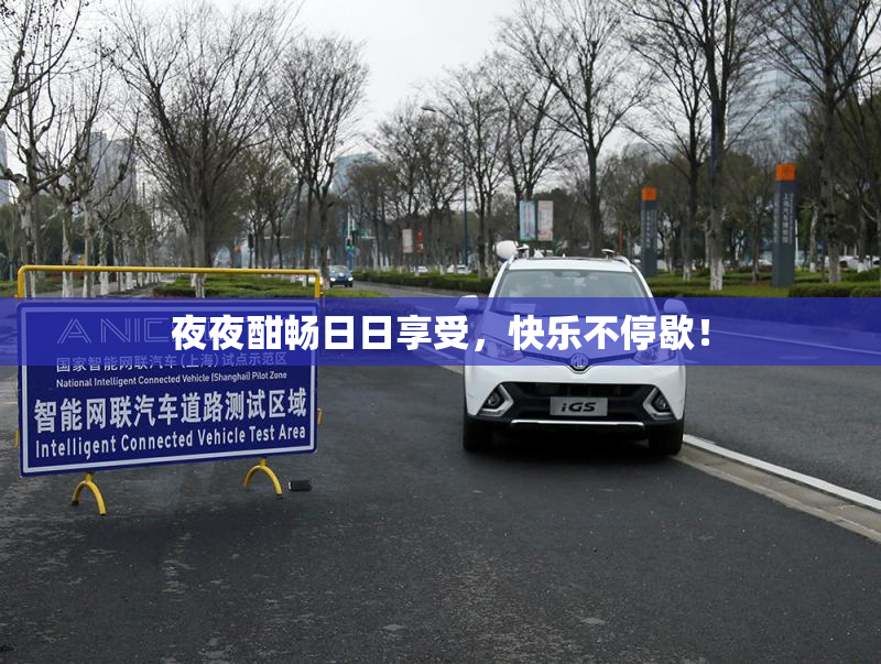 夜夜酣畅日日享受，快乐不停歇！