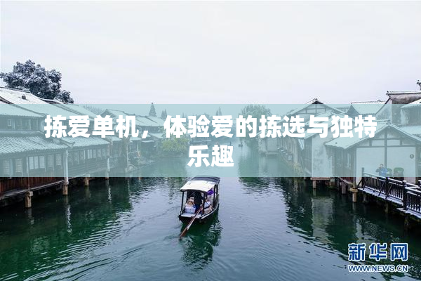 拣爱单机，体验爱的拣选与独特乐趣