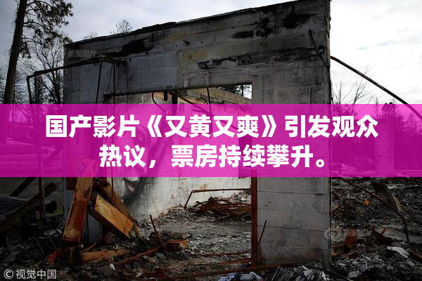 国产影片《又黄又爽》引发观众热议，票房持续攀升。
