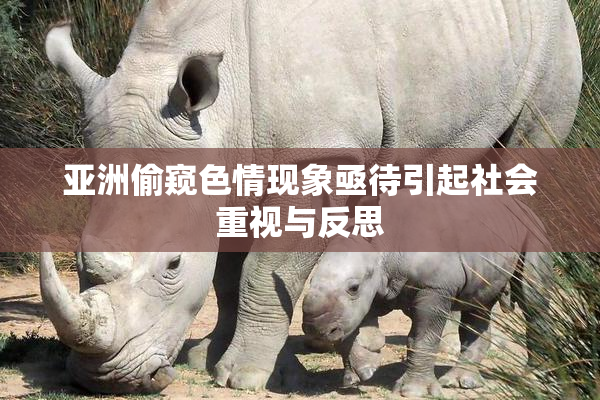 亚洲偷窥色情现象亟待引起社会重视与反思