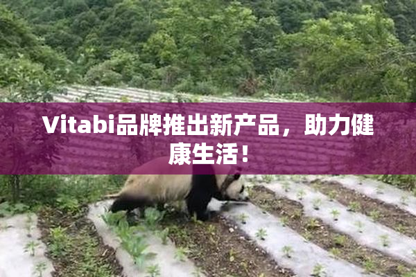 Vitabi品牌推出新产品，助力健康生活！