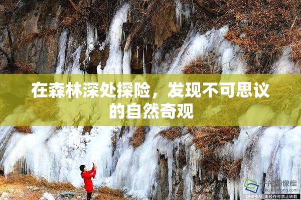 在森林深处探险，发现不可思议的自然奇观