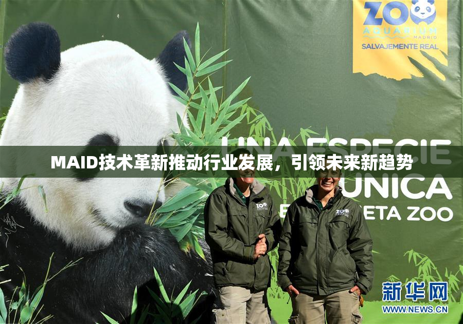 MAID技术革新推动行业发展，引领未来新趋势