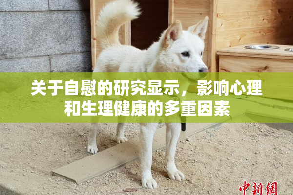 关于自慰的研究显示，影响心理和生理健康的多重因素