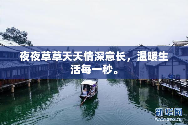 夜夜草草天天情深意长，温暖生活每一秒。
