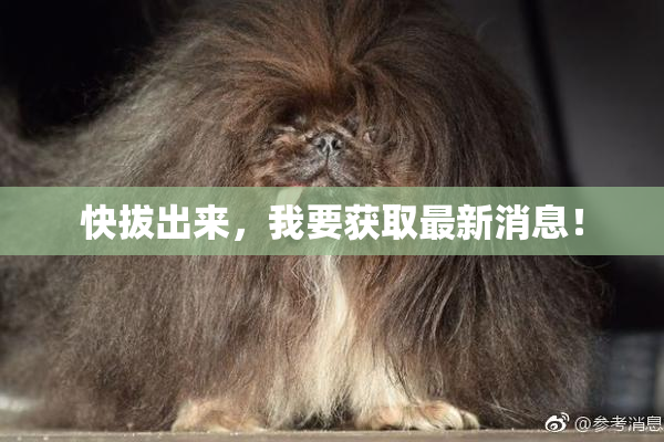 快拔出来，我要获取最新消息！