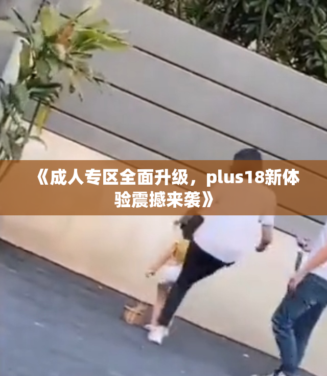 《成人专区全面升级，plus18新体验震撼来袭》