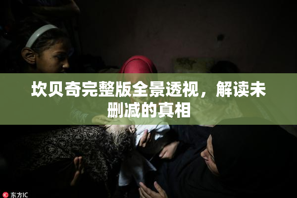 坎贝奇完整版全景透视，解读未删减的真相