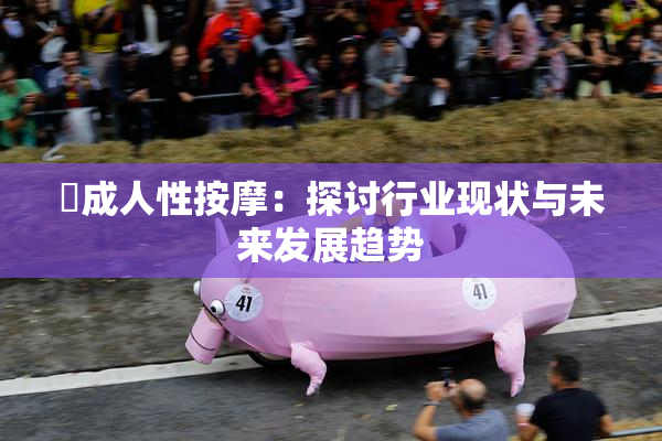 巜成人性按摩：探讨行业现状与未来发展趋势