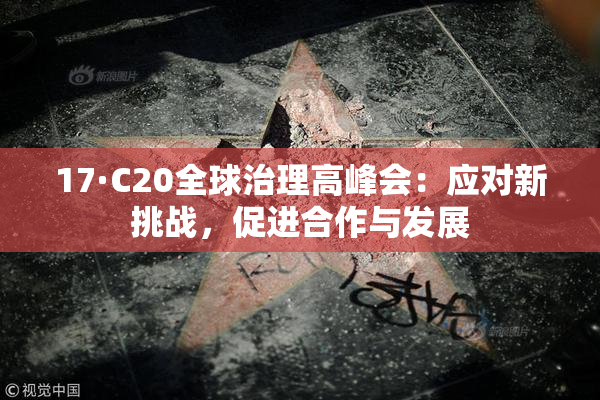 17·C20全球治理高峰会：应对新挑战，促进合作与发展