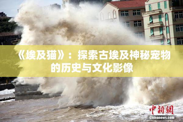 《埃及猫》：探索古埃及神秘宠物的历史与文化影像
