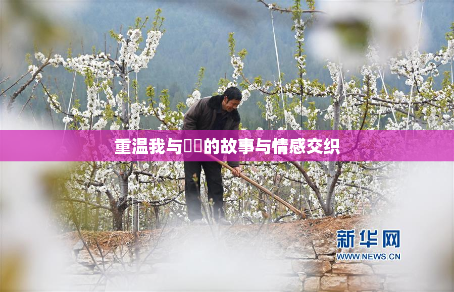 重温我与妺妺的故事与情感交织